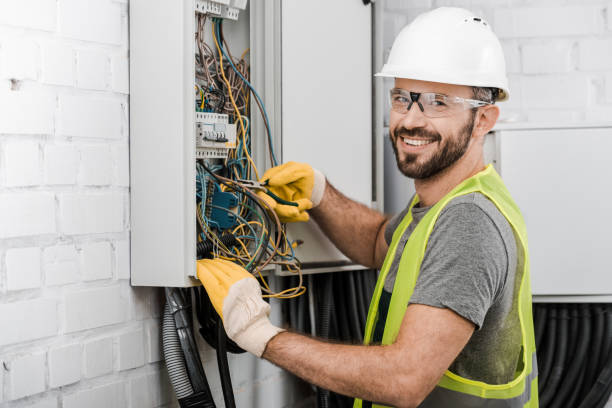 Best Licensed Electrician  in Lake Fenton, MI