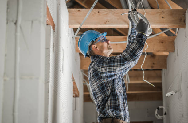 Best Electrical Wiring Services  in Lake Fenton, MI