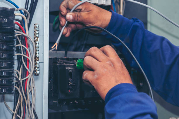 Best Best Electricians Near Me  in Lake Fenton, MI