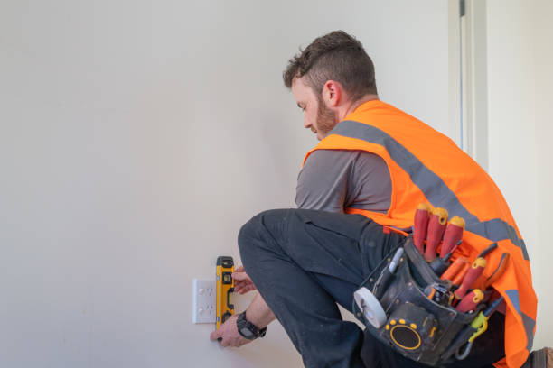 Best Residential Electrician Services  in Lake Fenton, MI