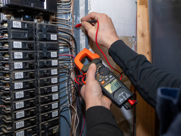 Best Electrical Rewiring Services  in Lake Fenton, MI