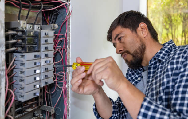 Best Electrical System Inspection  in Lake Fenton, MI